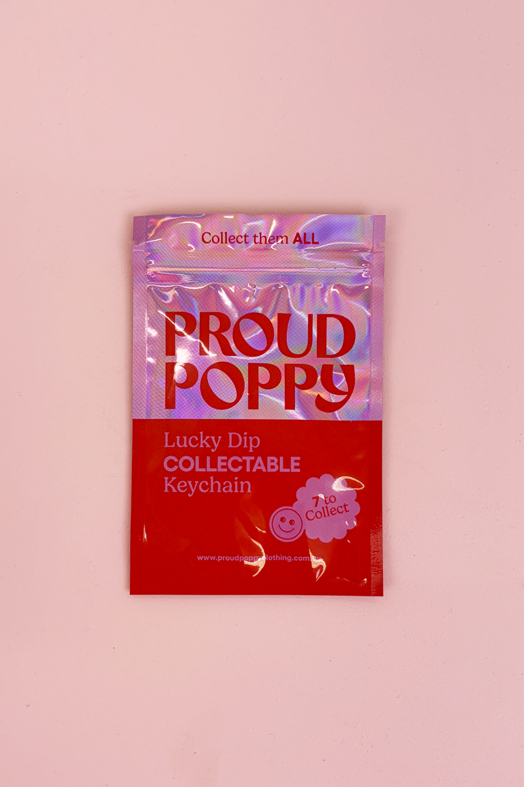 Lucky Dip Collectable Keychain - Series 1