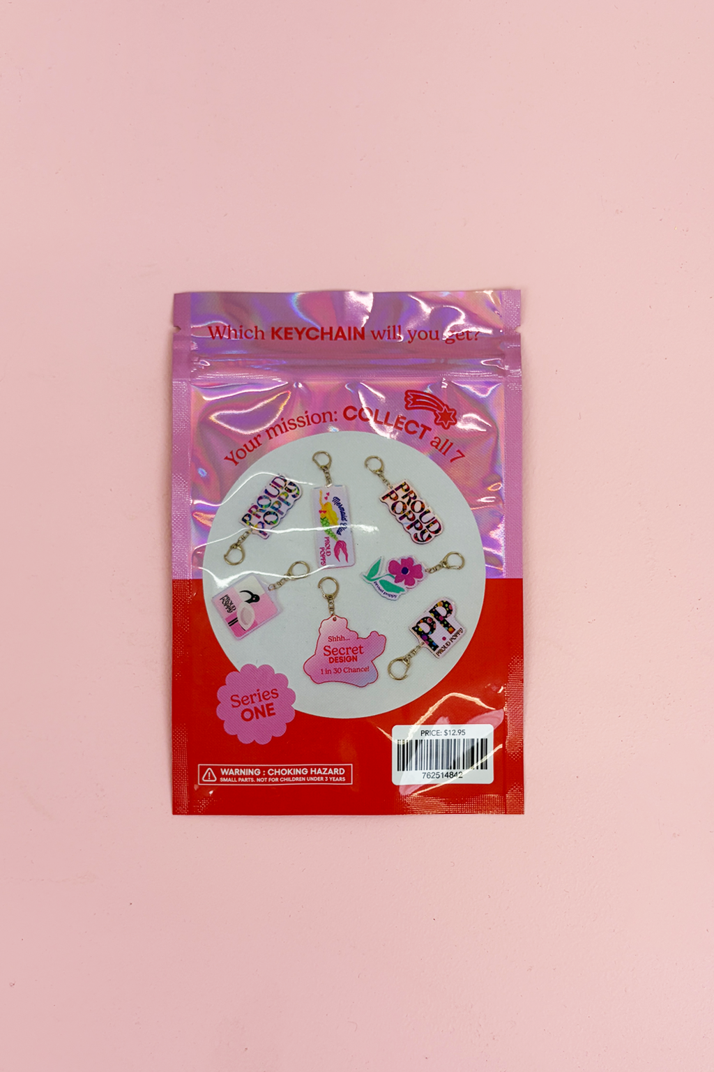Lucky Dip Collectable Keychain - Series 1