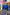 Blakely Crop Knit In Cobalt