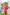 Noosa Tie One Piece In Pink Jungle