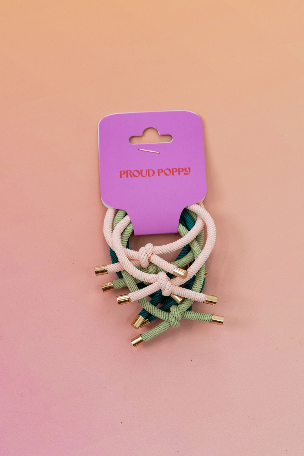 6 Pack Hair Ties in Watermelon Colours