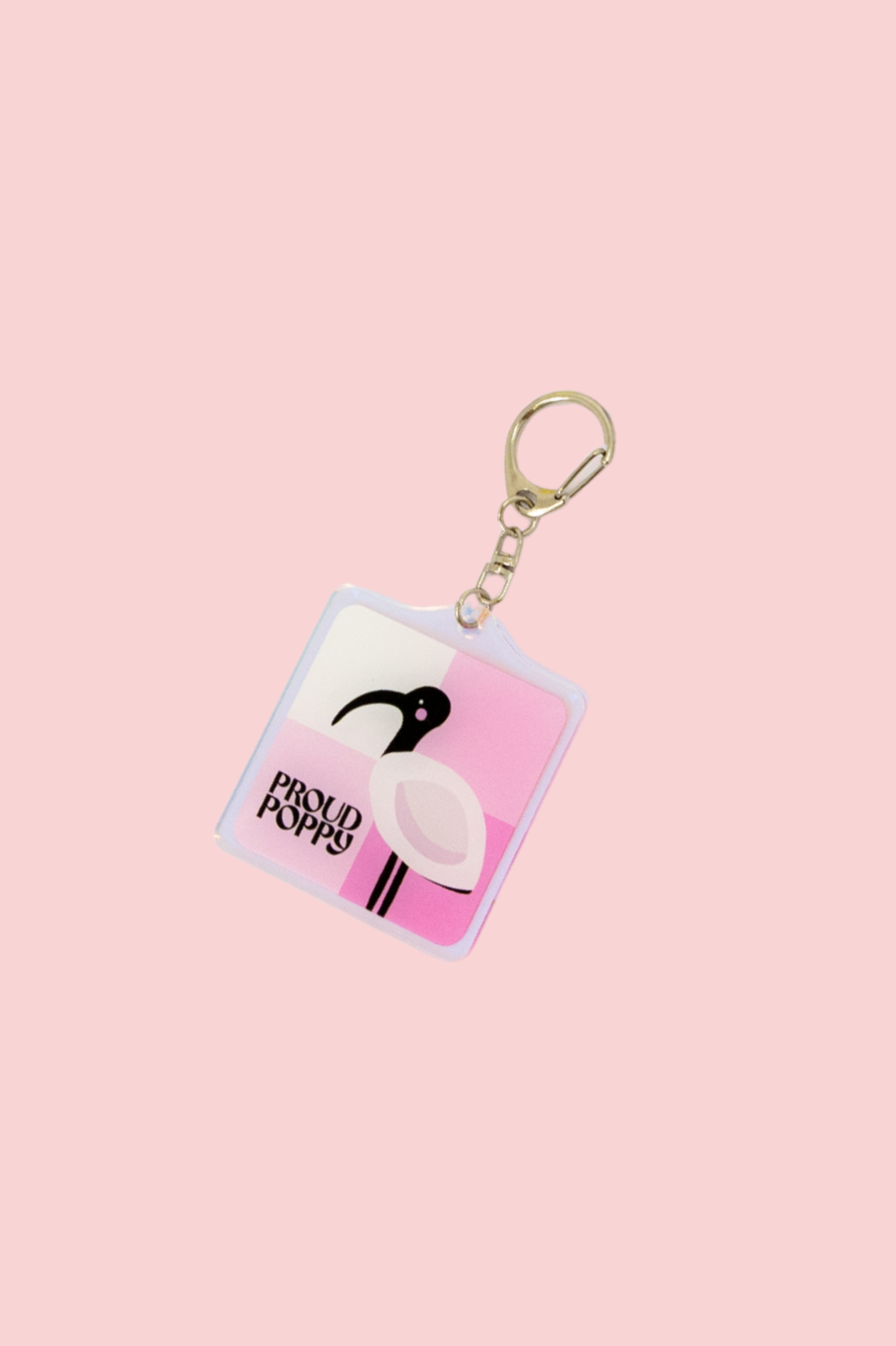 Lucky Dip Collectable Keychain - Series 1