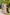 Adele Maxi Dress in Carnival Floral